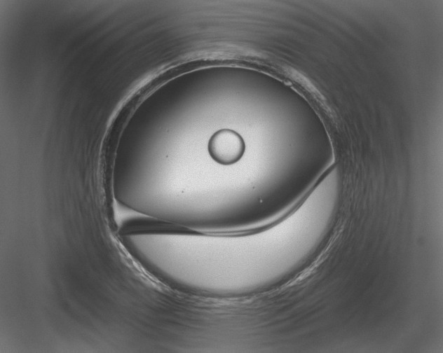 X0000084041122200702232318