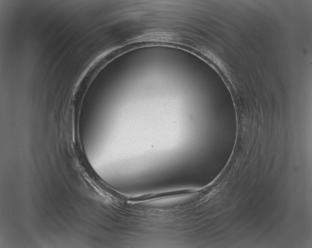 X0000084041123200702232318