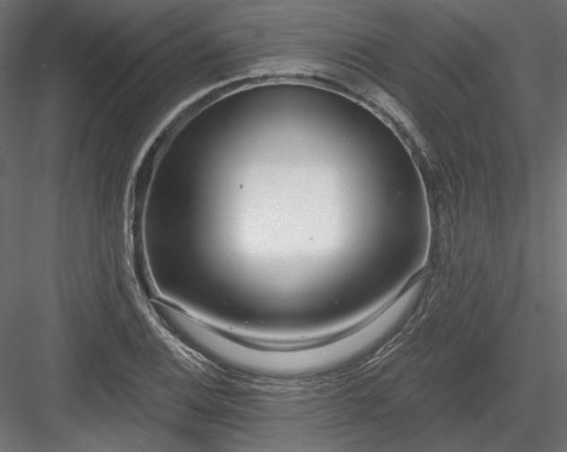 X0000084041124200702232318