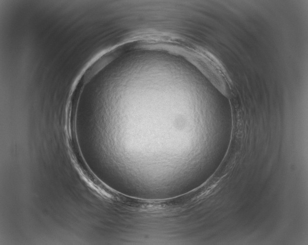 X0000084041128200702232318