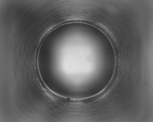 X0000084041129200702232318