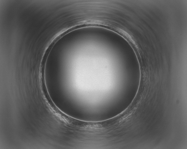 X0000084041133200702232318
