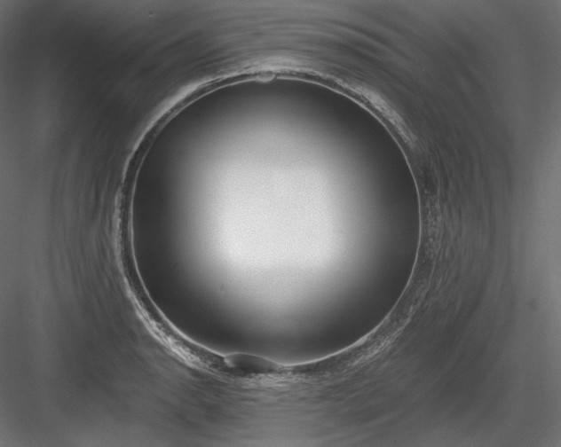 X0000084041134200702232318