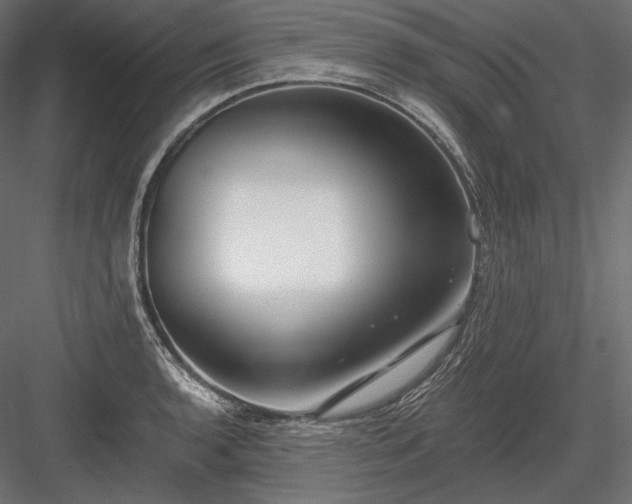 X0000084041136200702232318