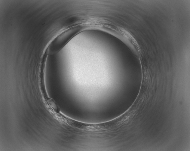 X0000084041138200702232318