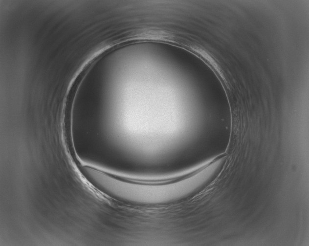 X0000084041139200702232318