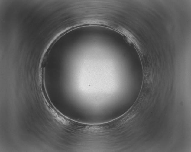 X0000084041140200702232318