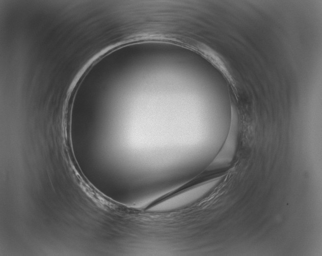 X0000084041148200702232318