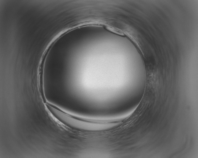 X0000084041151200702232318