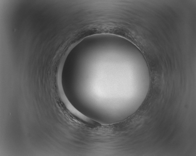 X0000084041153200702232317