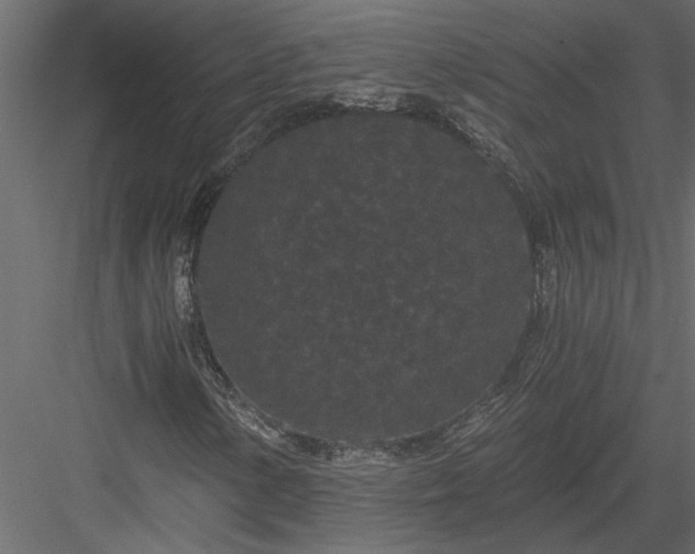 X0000084041154200702232317