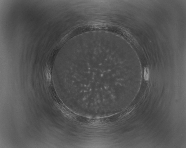 X0000084041155200702232317