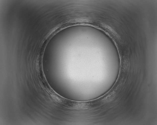 X0000084041162200702232317