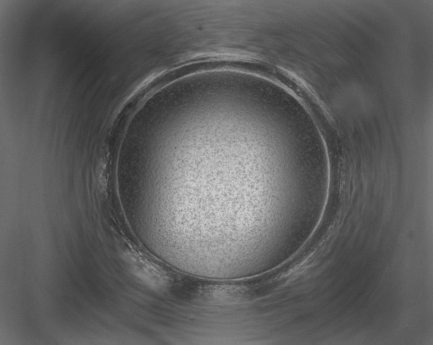 X0000084041163200702232317