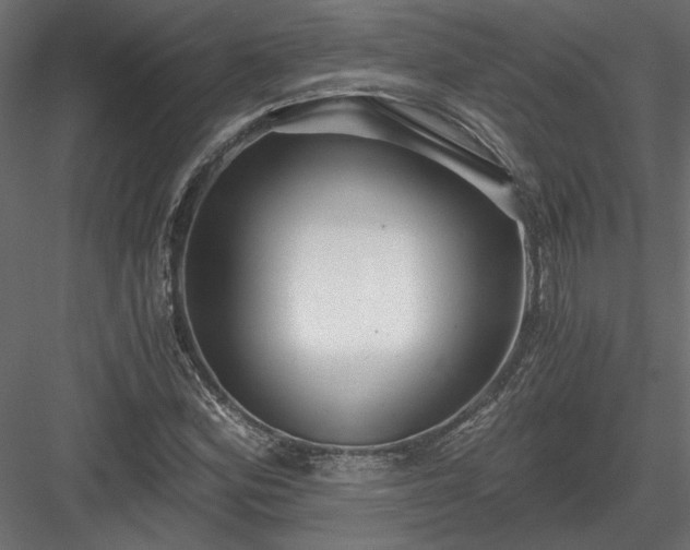 X0000084041164200702232317
