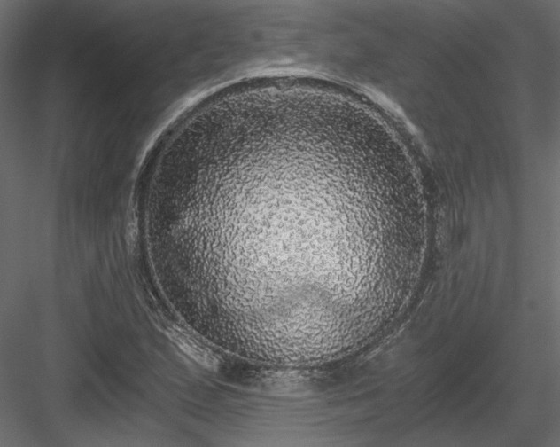 X0000084041167200702232317