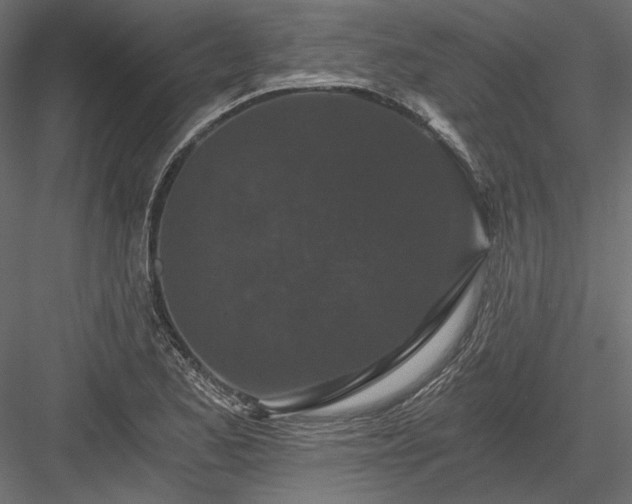 X0000084041173200702232317