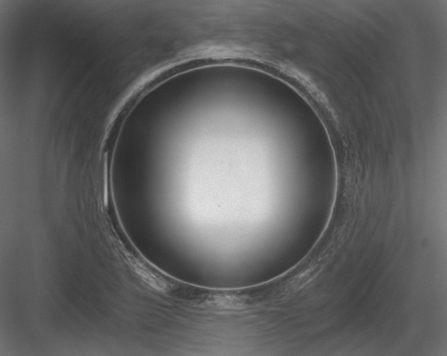 X0000084041175200702232317