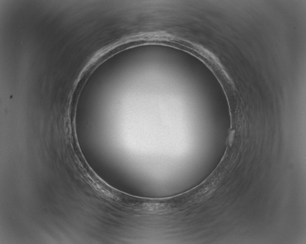 X0000084041176200702232317