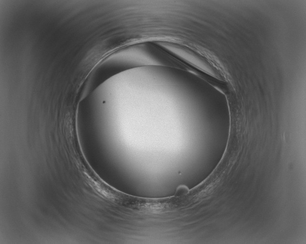 X0000084041177200702232317