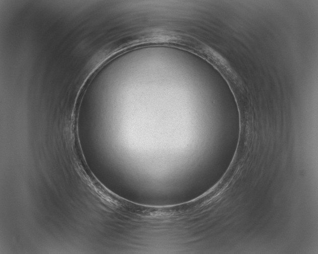 X0000084041178200702232317