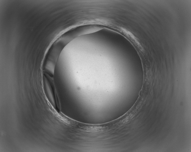 X0000084041184200702232317