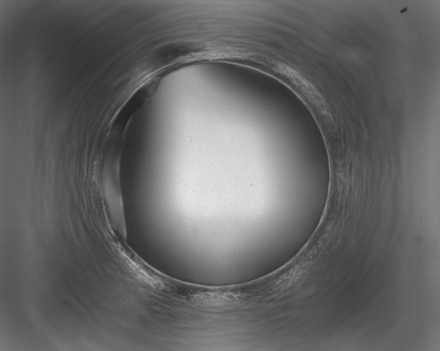 X0000084041185200702232317