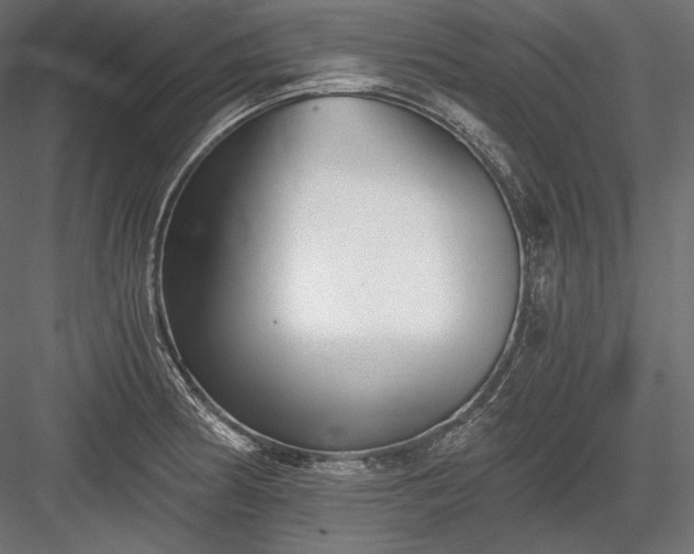 X0000084041186200702232317