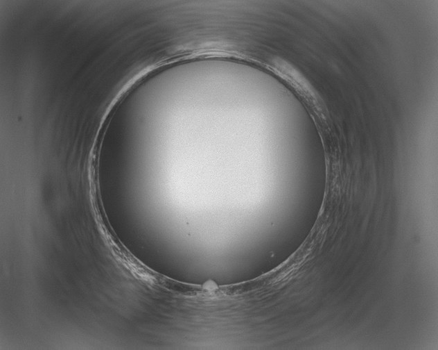 X0000084041190200702232317