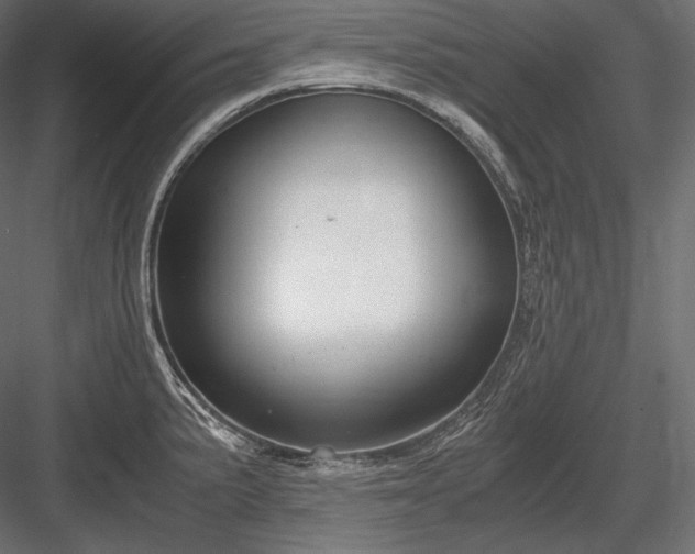 X0000084041191200702232317