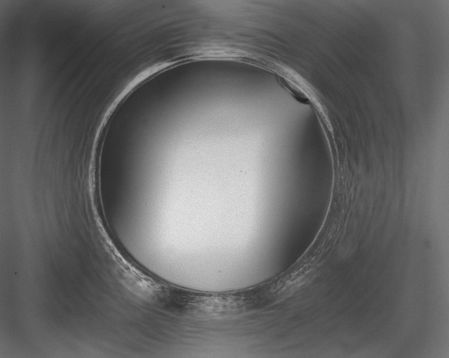 X0000084041195200702232316