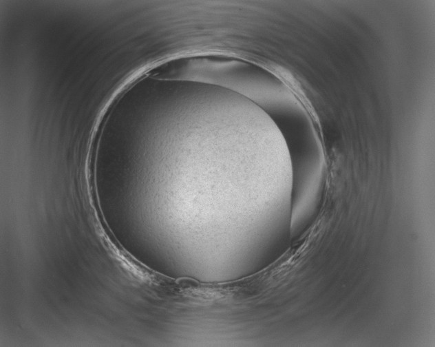 X0000084041197200702232316