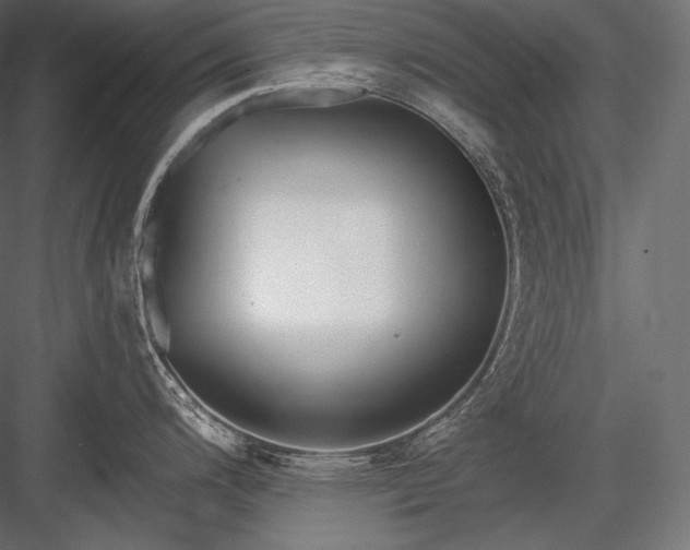 X0000084041200200702232316