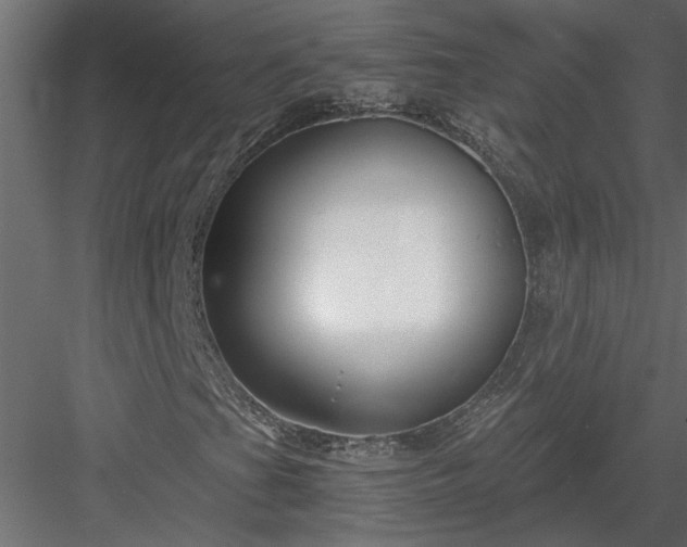 X0000084041201200702232316