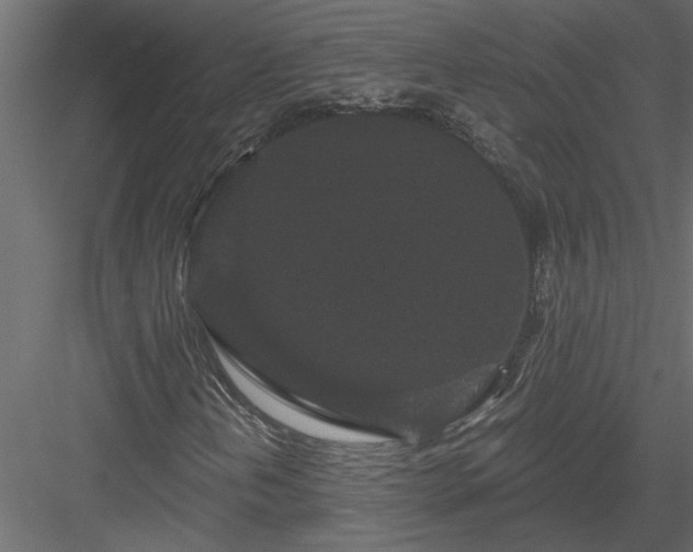 X0000084041202200702232316