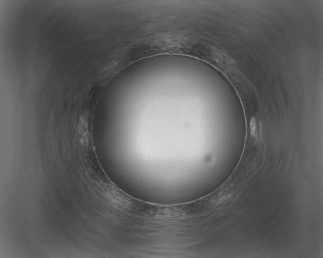 X0000084041203200702232316
