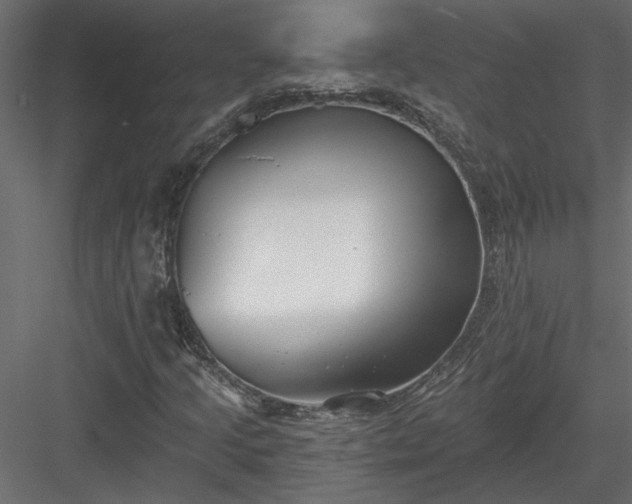 X0000084041205200702232316