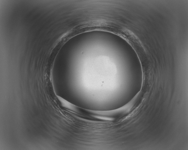 X0000084041210200702232316