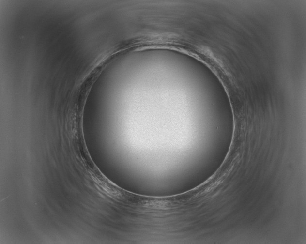 X0000084041211200702232316