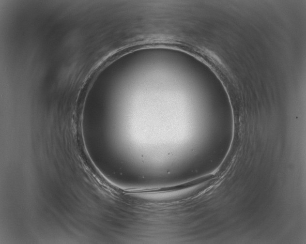 X0000084041212200702232316
