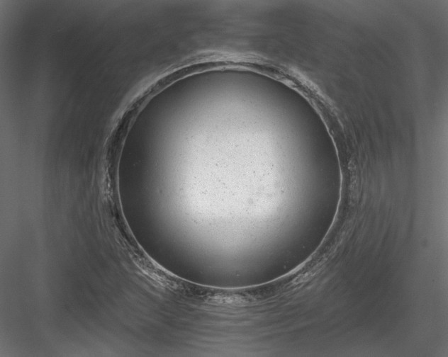 X0000084041215200702232316