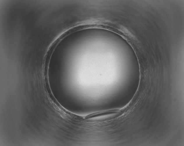 X0000084041216200702232316