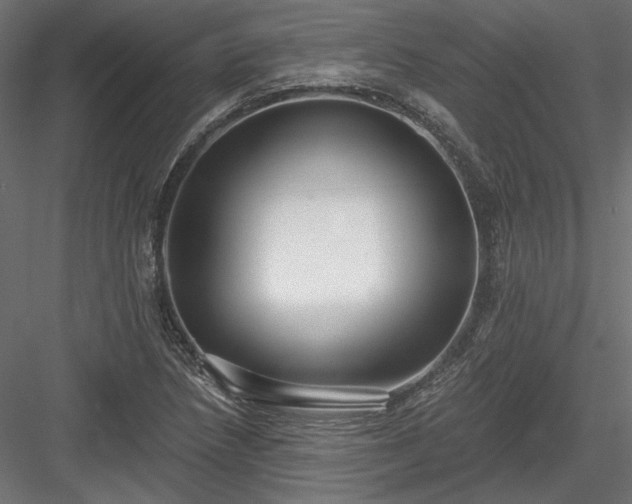 X0000084041218200702232316