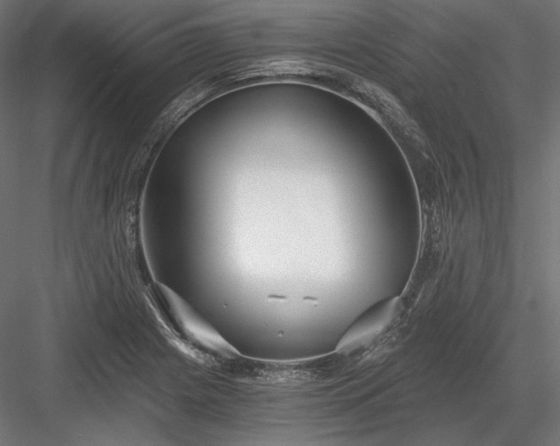 X0000084041225200702232316