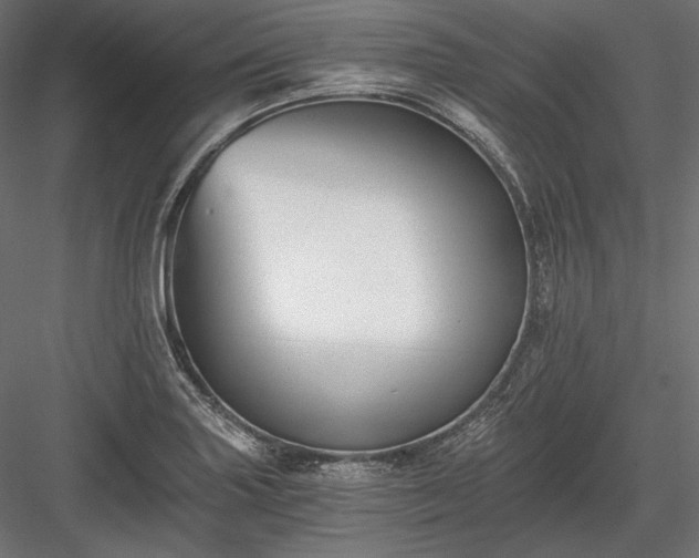 X0000084041227200702232316