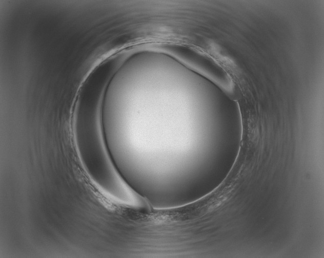 X0000084041230200702232316