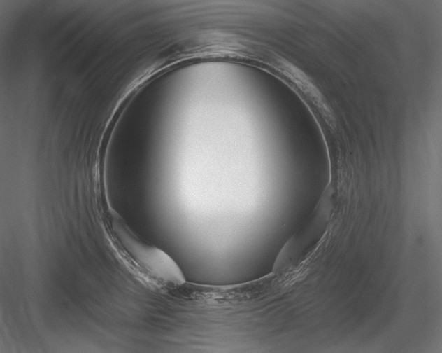 X0000084041234200702232316