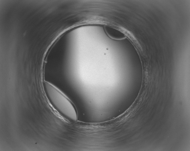 X0000084041236200702232316
