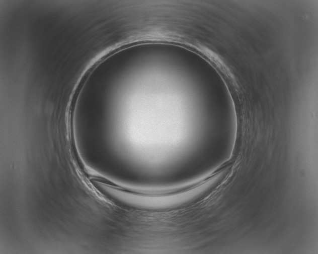 X0000084041238200702232316