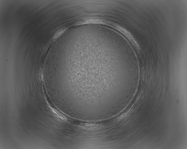 X0000084041241200702232316